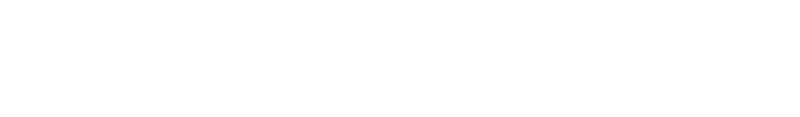dun & bradstreet white